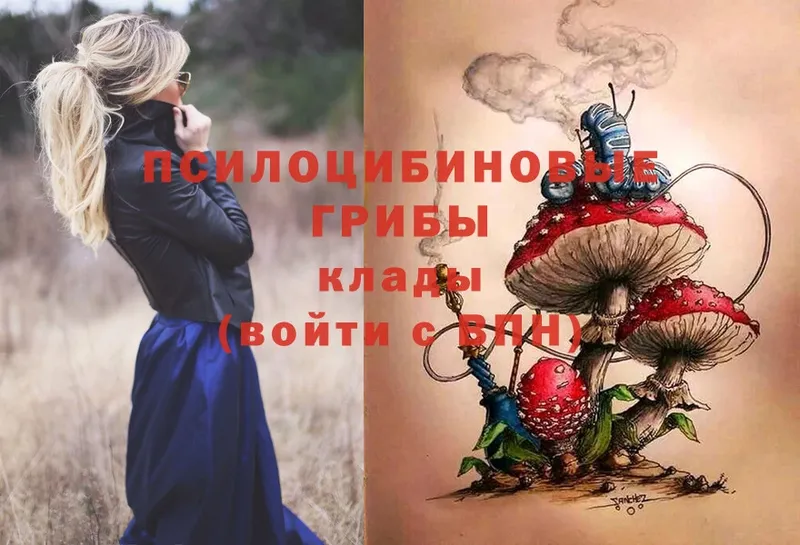 Псилоцибиновые грибы Magic Shrooms  как найти закладки  Кировск 